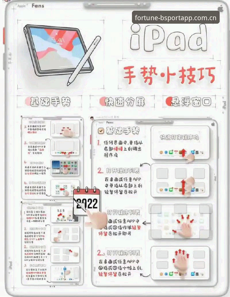 3步掌握bsportapp使用教程：从新手到高手的完整指南