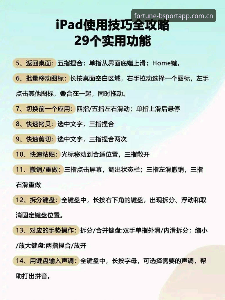 3步掌握bsportapp使用教程：从新手到高手的完整指南